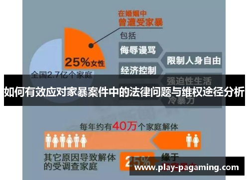 如何有效应对家暴案件中的法律问题与维权途径分析