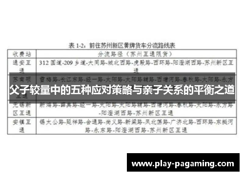 父子较量中的五种应对策略与亲子关系的平衡之道