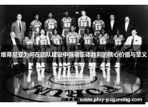 维蒂尼亚为何在团队建设中强调集体胜利的核心价值与意义 维蒂尼亚为何在团队建设中强调集体胜利的核心价值与意义