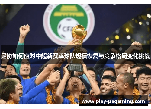 足协如何应对中超新赛季球队规模恢复与竞争格局变化挑战 足协如何应对中超新赛季球队规模恢复与竞争格局变化挑战