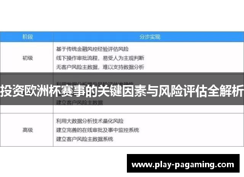 投资欧洲杯赛事的关键因素与风险评估全解析 投资欧洲杯赛事的关键因素与风险评估全解析