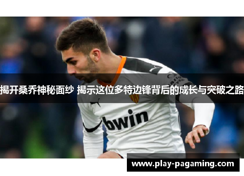 揭开桑乔神秘面纱 揭示这位多特边锋背后的成长与突破之路 揭开桑乔神秘面纱 揭示这位多特边锋背后的成长与突破之路